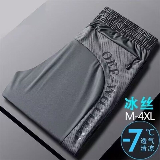 Men's New Summer Mesh Breathable Ice Silk Pants, Elastic Quick Dry Plus Size Casual Air-Condition Sports Trousers